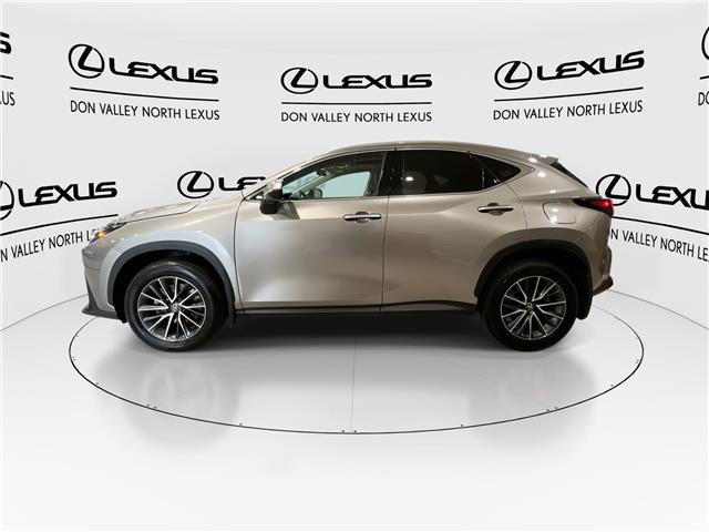 2025 Lexus NX 350  (Stk: 14U7702) in Markham - Image 5 of 27