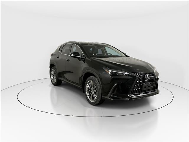 2026 Lexus NX 350  (Stk: 15106072) in Richmond Hill - Image 1 of 8