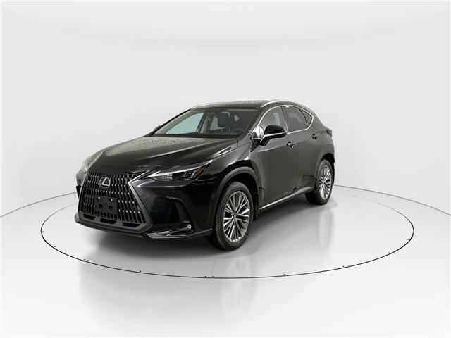 2026 Lexus NX 350  (Stk: 15106072) in Richmond Hill - Image 3 of 8