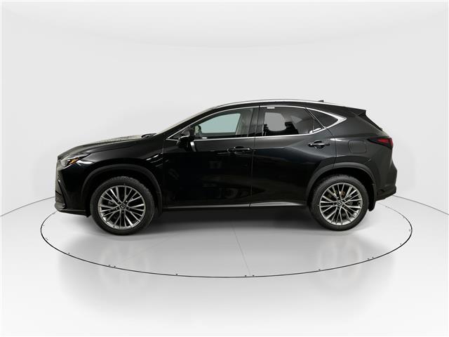 2026 Lexus NX 350  (Stk: 15106072) in Richmond Hill - Image 4 of 8