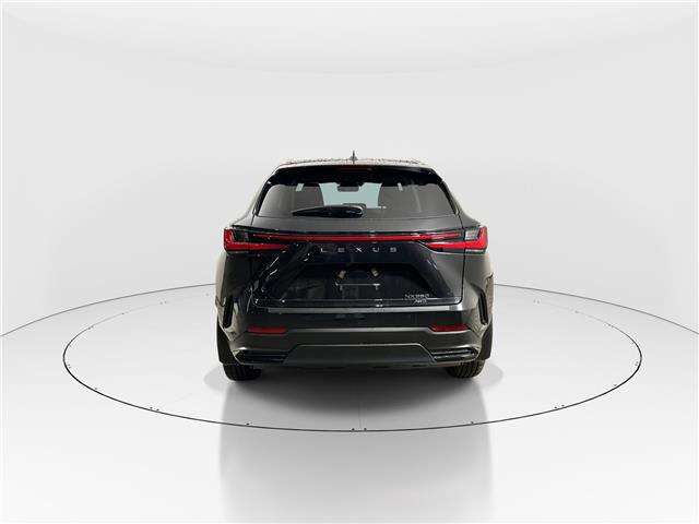 2026 Lexus NX 350  (Stk: 15106072) in Richmond Hill - Image 6 of 8