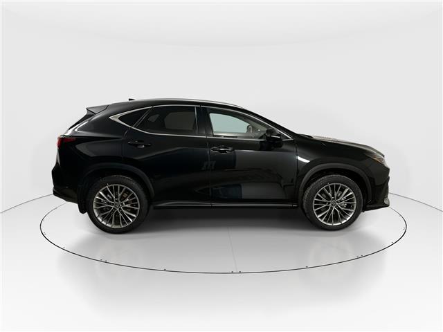 2026 Lexus NX 350  (Stk: 15106072) in Richmond Hill - Image 8 of 8