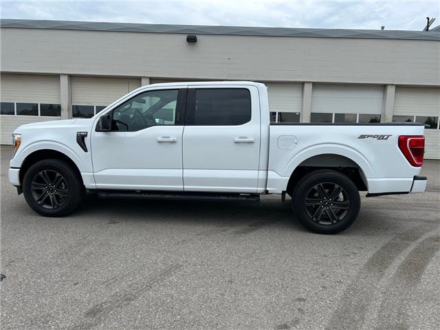 2022 Ford F-150 XLT (Stk: 1198) in Kitchener - Image 7 of 11