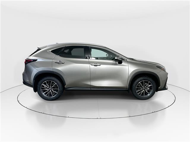 2026 Lexus NX 350  (Stk: 14113036) in Markham - Image 8 of 8