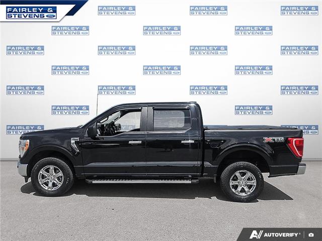 2021 Ford F-150 XLT (Stk: P8768) in Dartmouth - Image 3 of 24