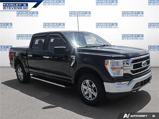 2021 Ford F-150 XLT (Stk: P8768) in Dartmouth - Image 6 of 24