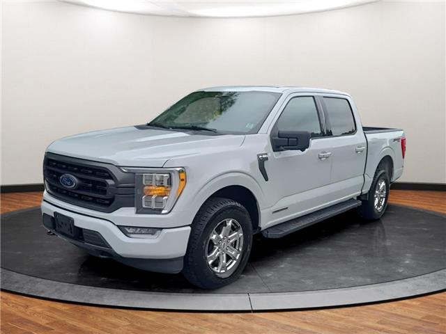 2023 Ford F-150 XLT (Stk: C99303) in Lower Sackville - Image 1 of 9
