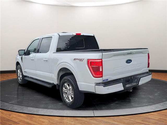 2023 Ford F-150 XLT (Stk: C99303) in Lower Sackville - Image 2 of 9