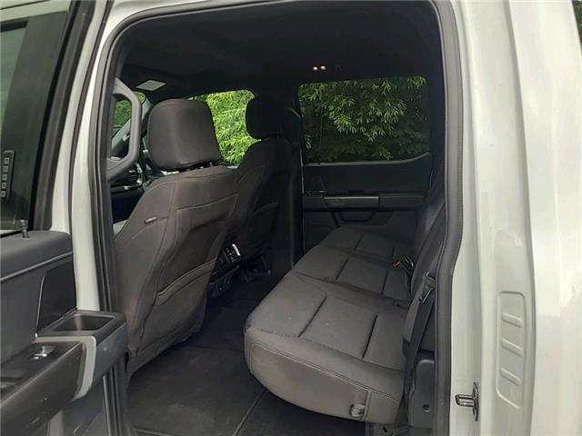 2023 Ford F-150 XLT (Stk: C99303) in Lower Sackville - Image 6 of 9