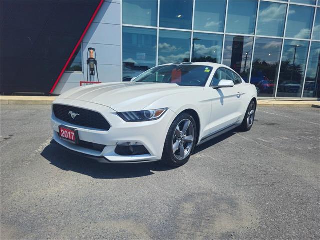 2017 Ford Mustang V6 (Stk: M905A) in Cornwall - Image 1 of 11
