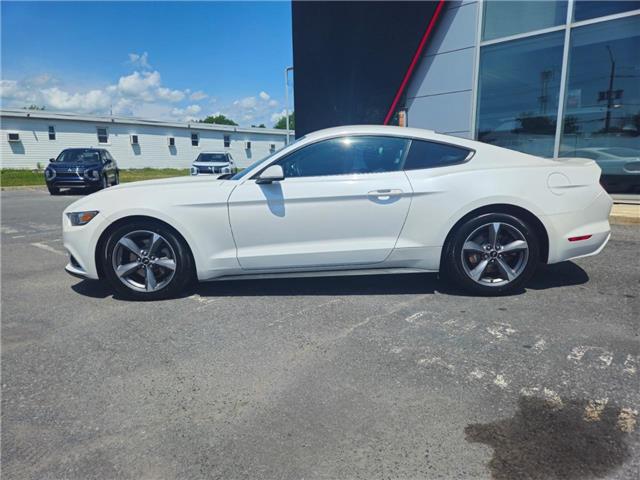 2017 Ford Mustang V6 (Stk: M905A) in Cornwall - Image 3 of 11 2017 Ford Mustang V6 (Stk: M905A) in Cornwall - Image 3 of 11