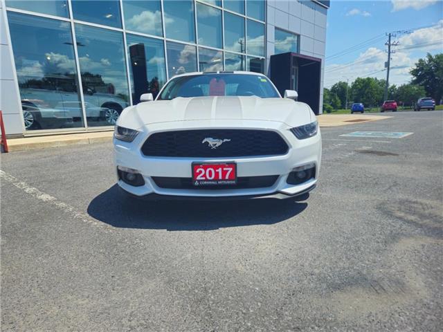 2017 Ford Mustang V6 (Stk: M905A) in Cornwall - Image 6 of 11 2017 Ford Mustang V6 (Stk: M905A) in Cornwall - Image 6 of 11
