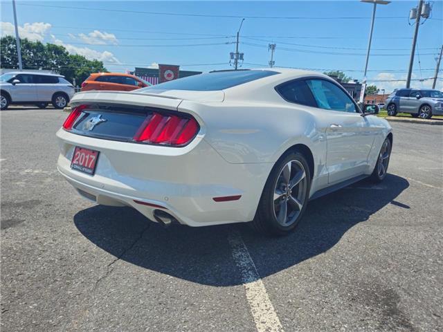 2017 Ford Mustang V6 (Stk: M905A) in Cornwall - Image 7 of 11 2017 Ford Mustang V6 (Stk: M905A) in Cornwall - Image 7 of 11