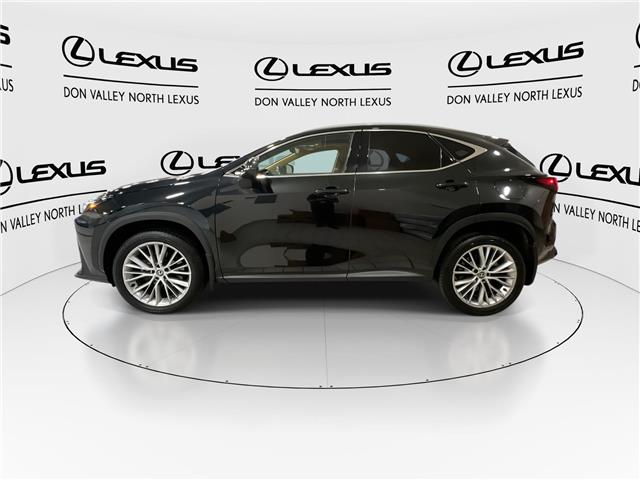 2024 Lexus NX 350  (Stk: 14112764A) in Markham - Image 5 of 28