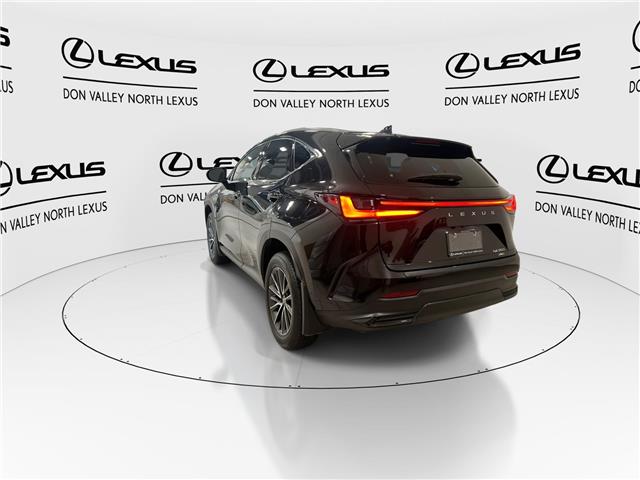 2025 Lexus NX 350  (Stk: 14112593A) in Markham - Image 6 of 27