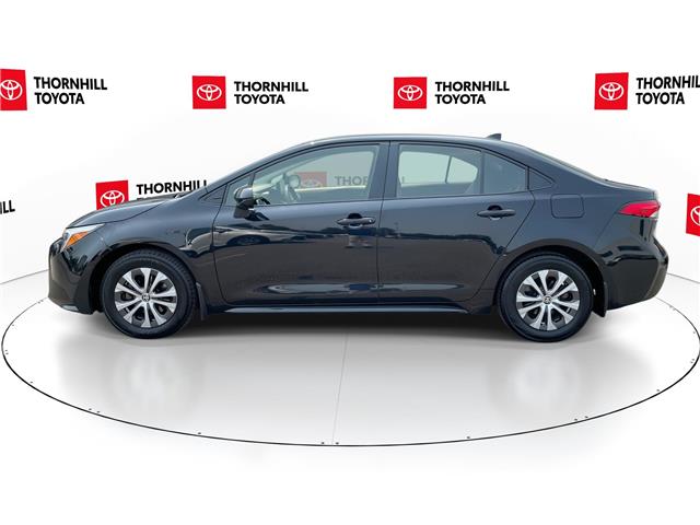 2025 Toyota Corolla Hybrid LE (Stk: 12108810A) in Concord - Image 6 of 43