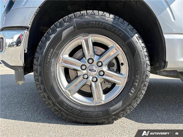 2024 Ford F-150 XLT (Stk: B89229) in Okotoks - Image 6 of 24
