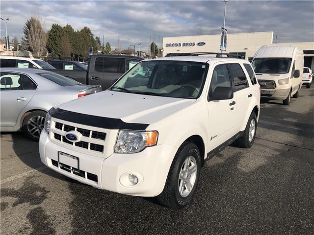 Ford Escape Hybrid For Sale >> Used Ford Escape Hybrid For Sale In Vancouver Brown Bros Lincoln Ford Escape Hybrid For Sale >> Used Ford Escape Hybrid For Sale In Vancouver Brown Bros Lincoln