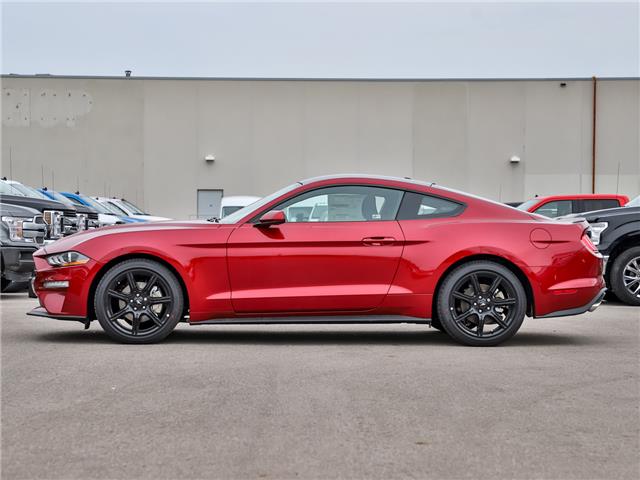 Kitchener Car Dealerships >> 2019 Ford Mustang EcoBoost Black Accent Package for sale in Kitchener - Kitchener Ford Kitchener Car Dealerships >> 2019 Ford Mustang EcoBoost Black Accent Package for sale in Kitchener - Kitchener Ford