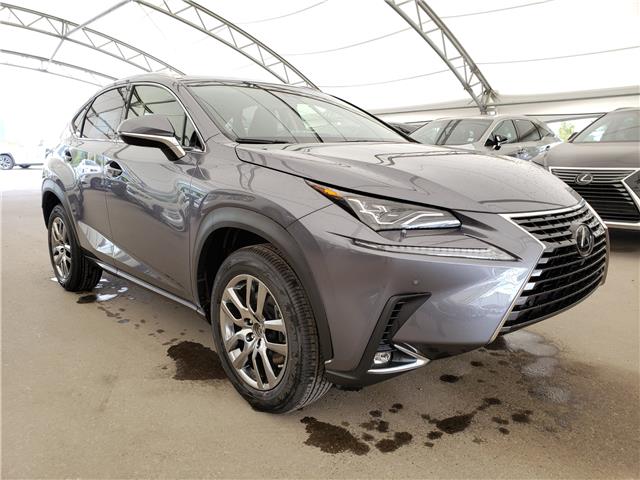 2020 Lexus NX 300 Base for sale in Calgary - Lexus of Royal Oak