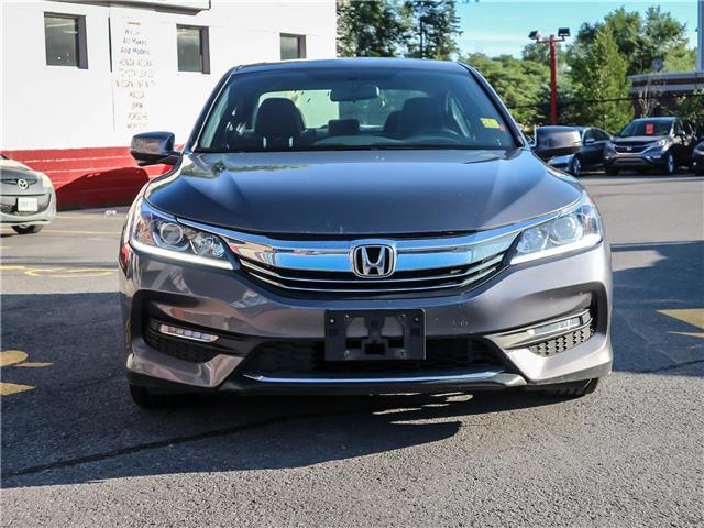 2017 Honda Accord Sport Sport at $19981 for sale in Ottawa - Ottawa Honda