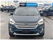 2019 Ford Escape SEL (Stk: P22432) in Toronto - Image 2 of 25