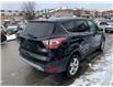 2017 Ford Escape SE (Stk: A01102) in Scarborough - Image 5 of 20