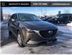 2018 Mazda CX-9 GS (Stk: 29597) in Barrie - Image 5 of 21