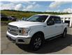 2020 Ford F-150  (Stk: 52209A) in New Glasgow - Image 3 of 17
