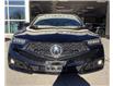 2020 Acura TLX Tech A-Spec (Stk: 15-P1857) in Ottawa - Image 15 of 19