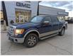2010 Ford F-150  (Stk: B10555AAA) in Orangeville - Image 1 of 20