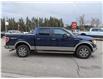 2010 Ford F-150  (Stk: B10555AAA) in Orangeville - Image 6 of 20