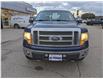 2010 Ford F-150  (Stk: B10555AAA) in Orangeville - Image 8 of 20