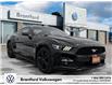 2015 Ford Mustang  (Stk: TI21470C) in Brantford - Image 1 of 25