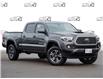 2019 Toyota Tacoma TRD Sport (Stk: 4181) in Welland - Image 1 of 24