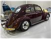 1964 Volkswagen Beetle  (Stk: 638834) in Watford - Image 5 of 17