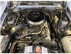1984 Ford Thunderbird  (Stk: Z28946) in Watford - Image 15 of 17