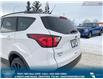 2019 Ford Escape SE (Stk: B84278) in Okotoks - Image 11 of 26