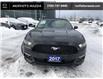 2017 Ford Mustang V6 (Stk: 29429) in Barrie - Image 6 of 20