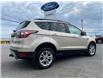 2017 Ford Escape SE (Stk: 3961A) in Matane - Image 4 of 13