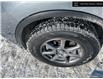 2016 Nissan Murano Platinum (Stk: 4478AA) in Thunder Bay - Image 7 of 24