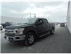 2019 Ford F-150 XLT (Stk: CX66151) in St. Johns - Image 3 of 21