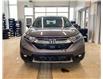 2019 Honda CR-V EX-L (Stk: V1860) in Prince Albert - Image 2 of 10