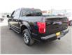 2020 Ford F-150  (Stk: P5531) in Peterborough - Image 3 of 32