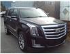 2015 Cadillac Escalade Premium (Stk: 1T393A) in Hope - Image 1 of 9