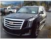 2015 Cadillac Escalade Premium (Stk: 1T393A) in Hope - Image 4 of 9