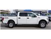 2016 Ford F-150 XLT (Stk: 10127A) in Penticton - Image 4 of 16