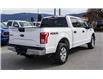 2016 Ford F-150 XLT (Stk: 10127A) in Penticton - Image 5 of 16