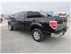 2014 Ford F-150  (Stk: 92228B) in Peterborough - Image 3 of 22