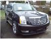 2010 Cadillac Escalade Base (Stk: 16445B) in Hope - Image 1 of 5